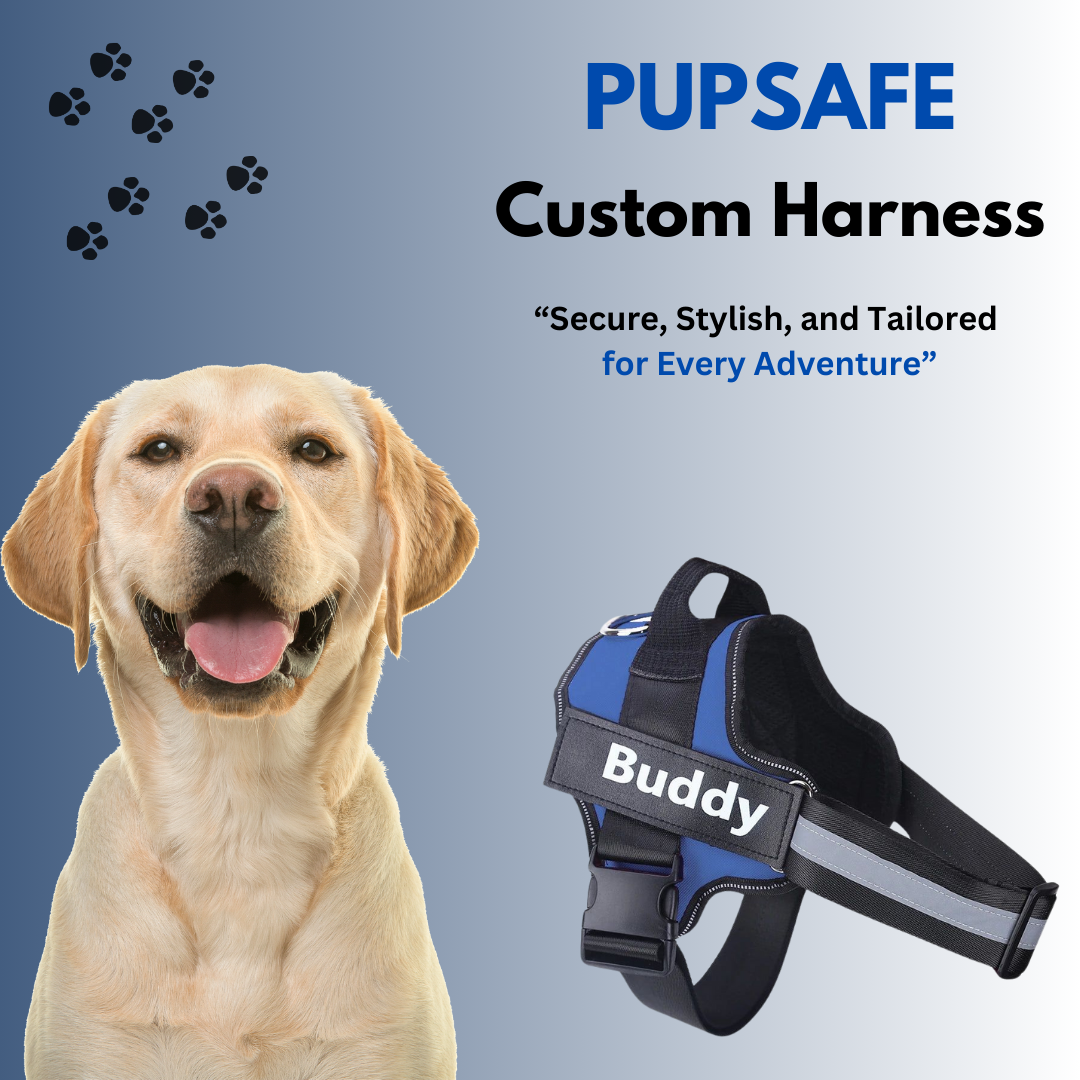 PupSafe Custom Harness